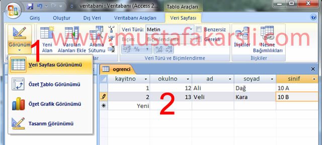 Access Tabloya Kayıt Ekleme