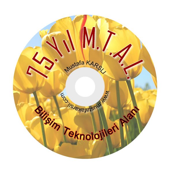 fireworks cd dvd örneği maskele cd hazırlama