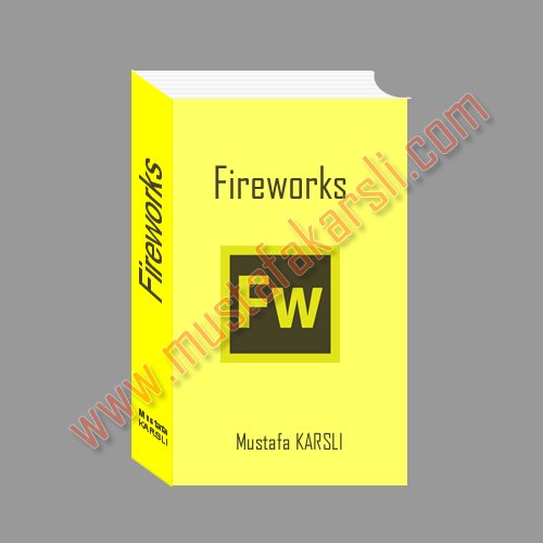 Fireworks kitap örneği vektör araçaları