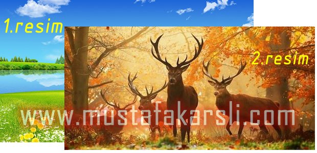 Maskelenecek resimler
