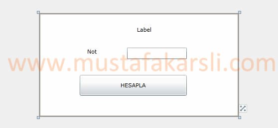 Silverlight Nota Göre geçti kaldı tasarım ekranı