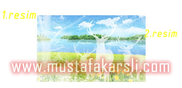 Maskelenmiş Resimler