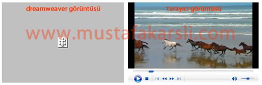 Video Ekran Görüntüsü