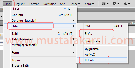 Dreamweaver Video Ekleme Menü Resmi