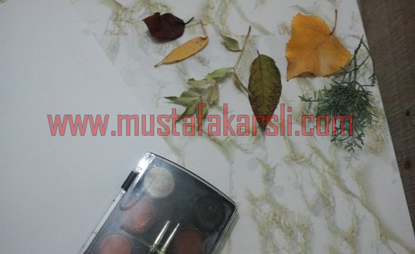 Yaprak baskısı malzemeleri