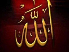 ALLAH (cc)