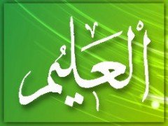 el - ALÎM