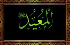 el - MUİD