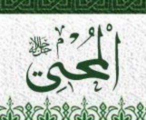 el - MUHYİ