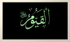 el - KAYYUM