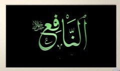 en - NAFİ'
